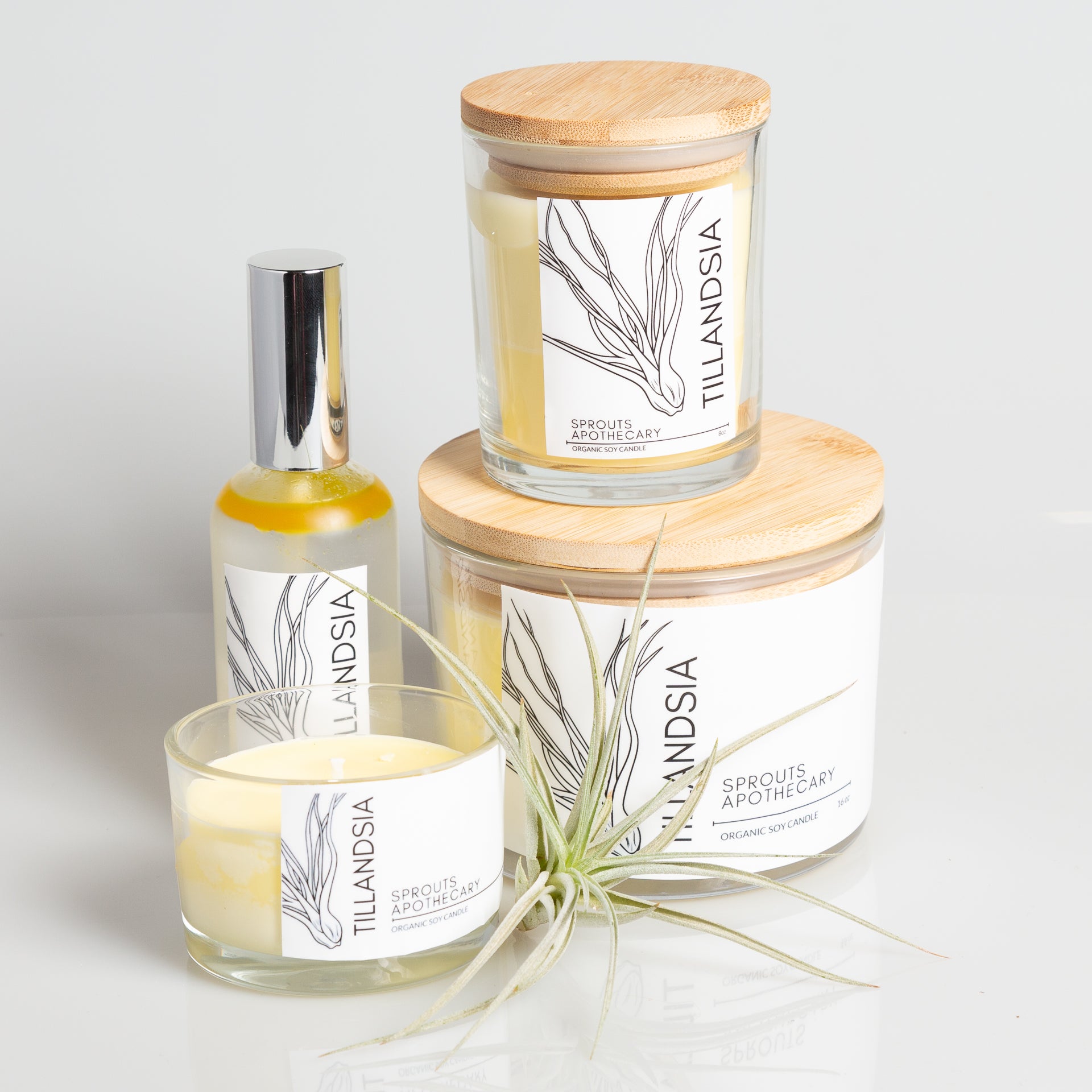 Tillandsia - Sprouts Apothecary Room Spray - Urban Sprouts