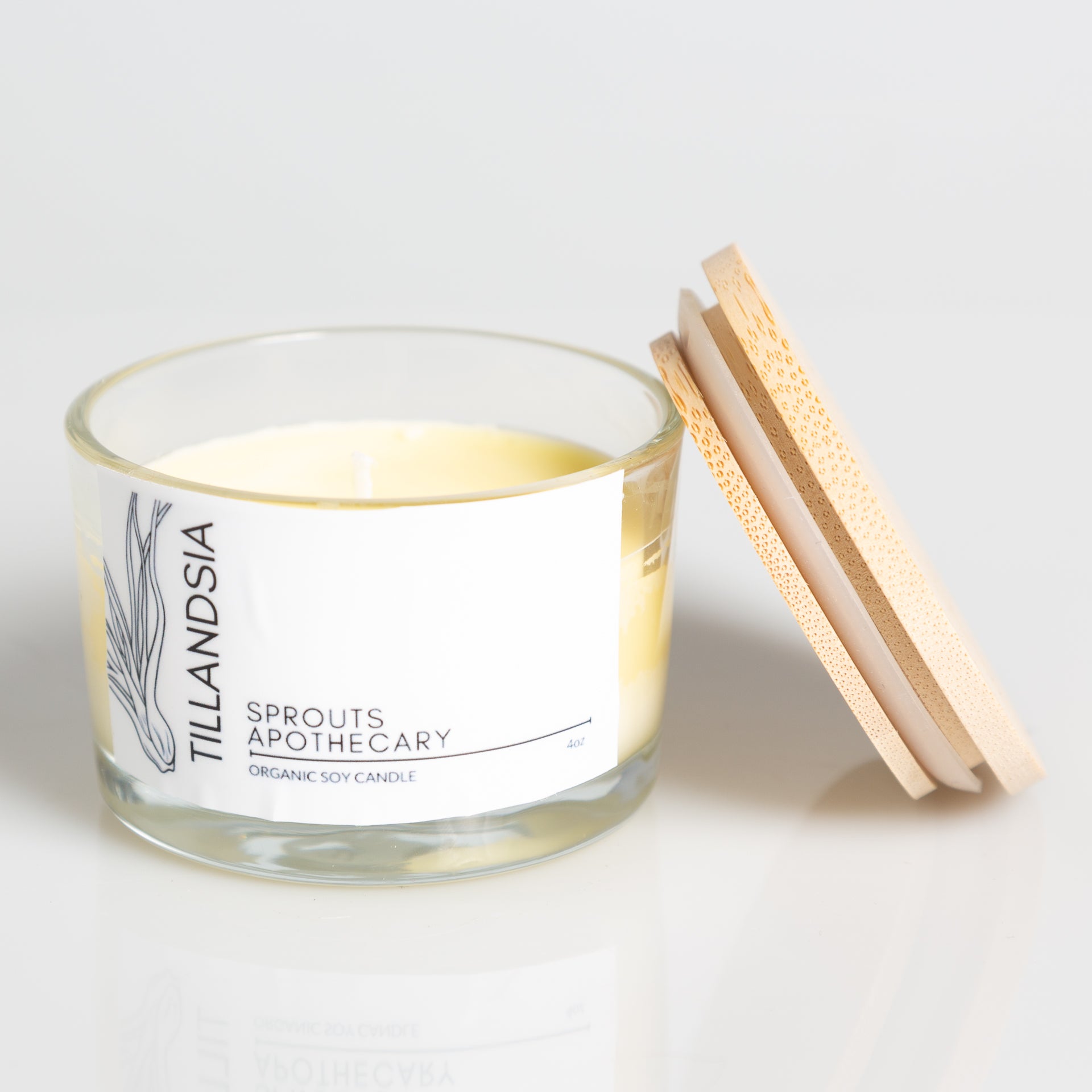 Tillandsia - Sprouts Apothecary Soy Candle - Urban Sprouts