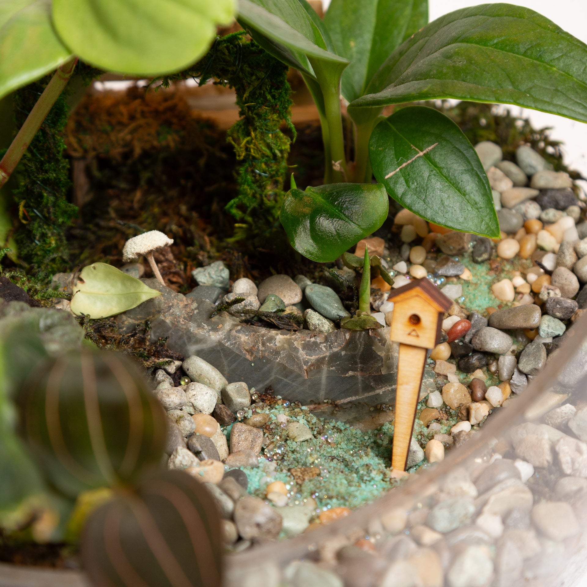 Terrarium Village Birdhouse - Urban Sprouts