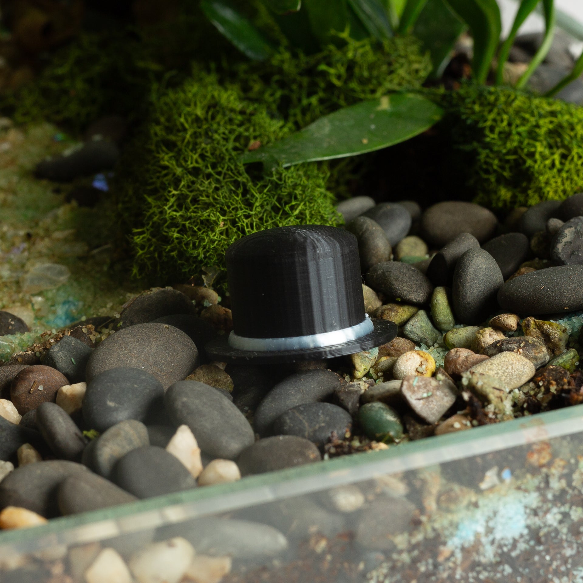 Tiny Top Hat - Urban Sprouts