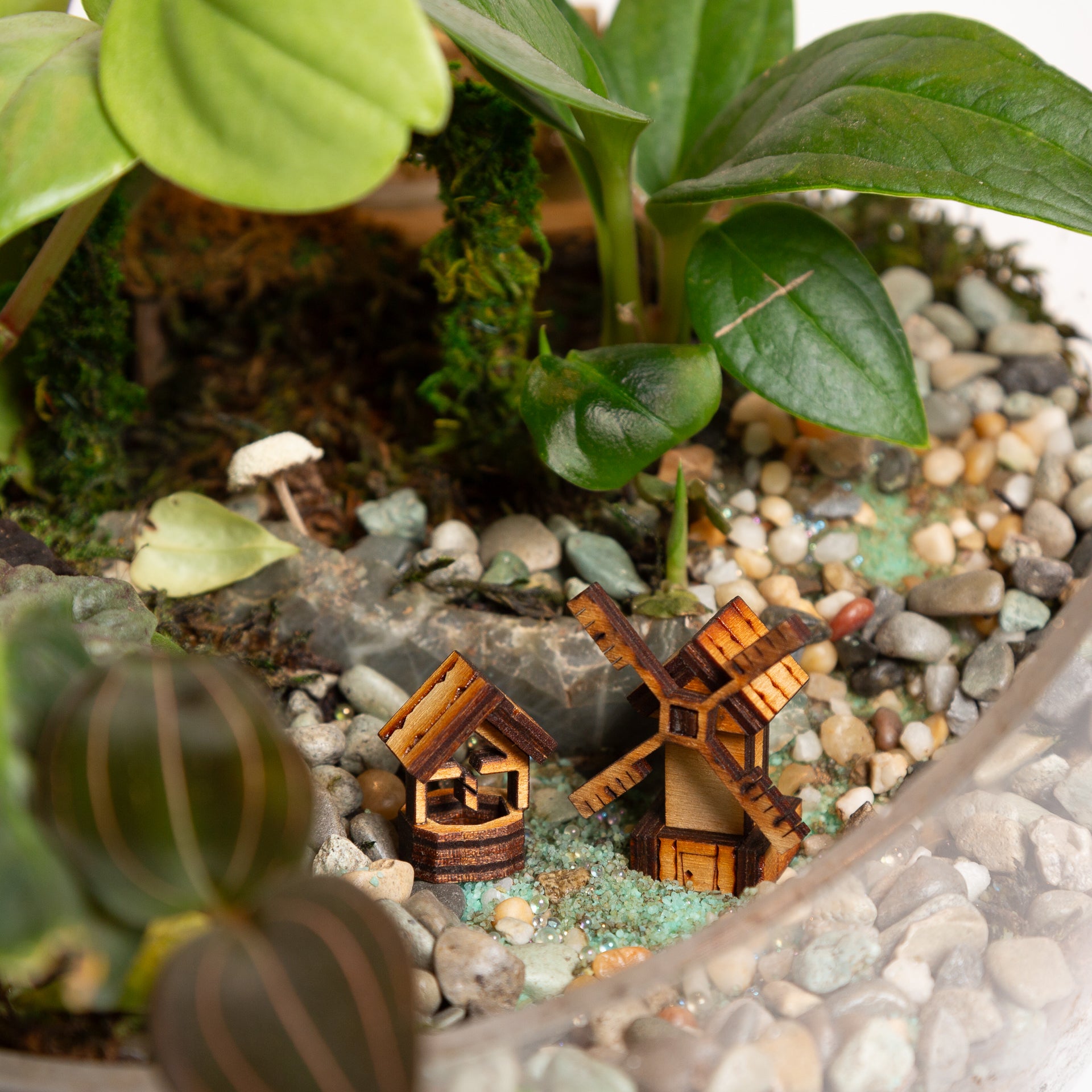 Terrarium Village Wishing well - Urban Sprouts