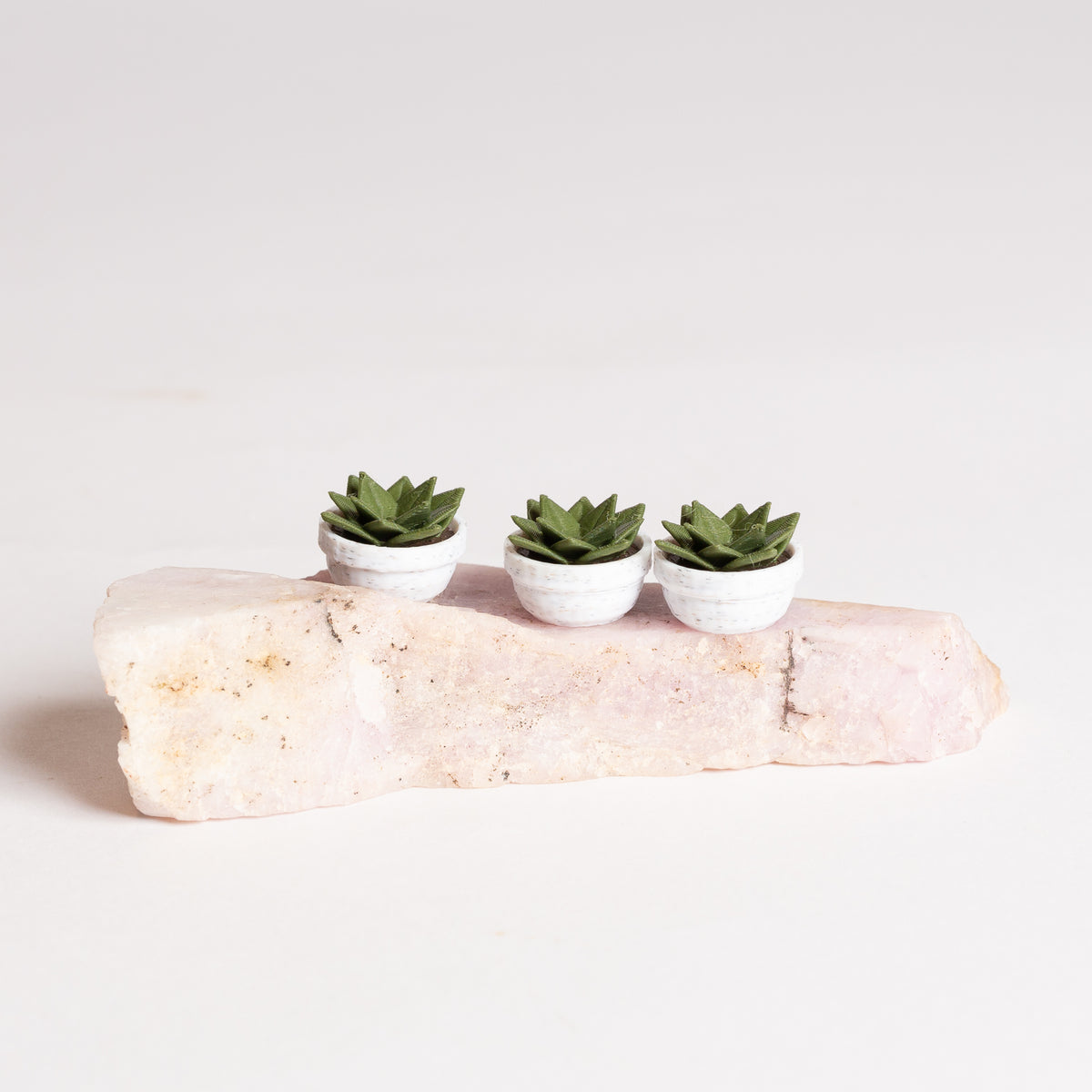 Tiny Potted Aloe