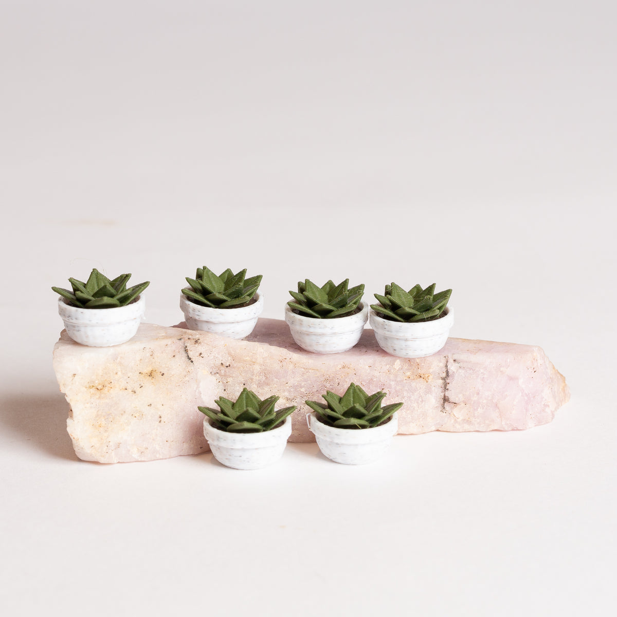 Tiny Potted Aloe