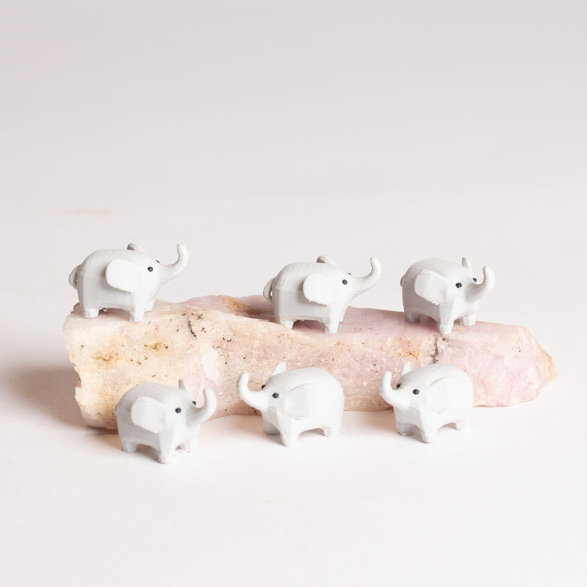 Fontine the Baby Elephant