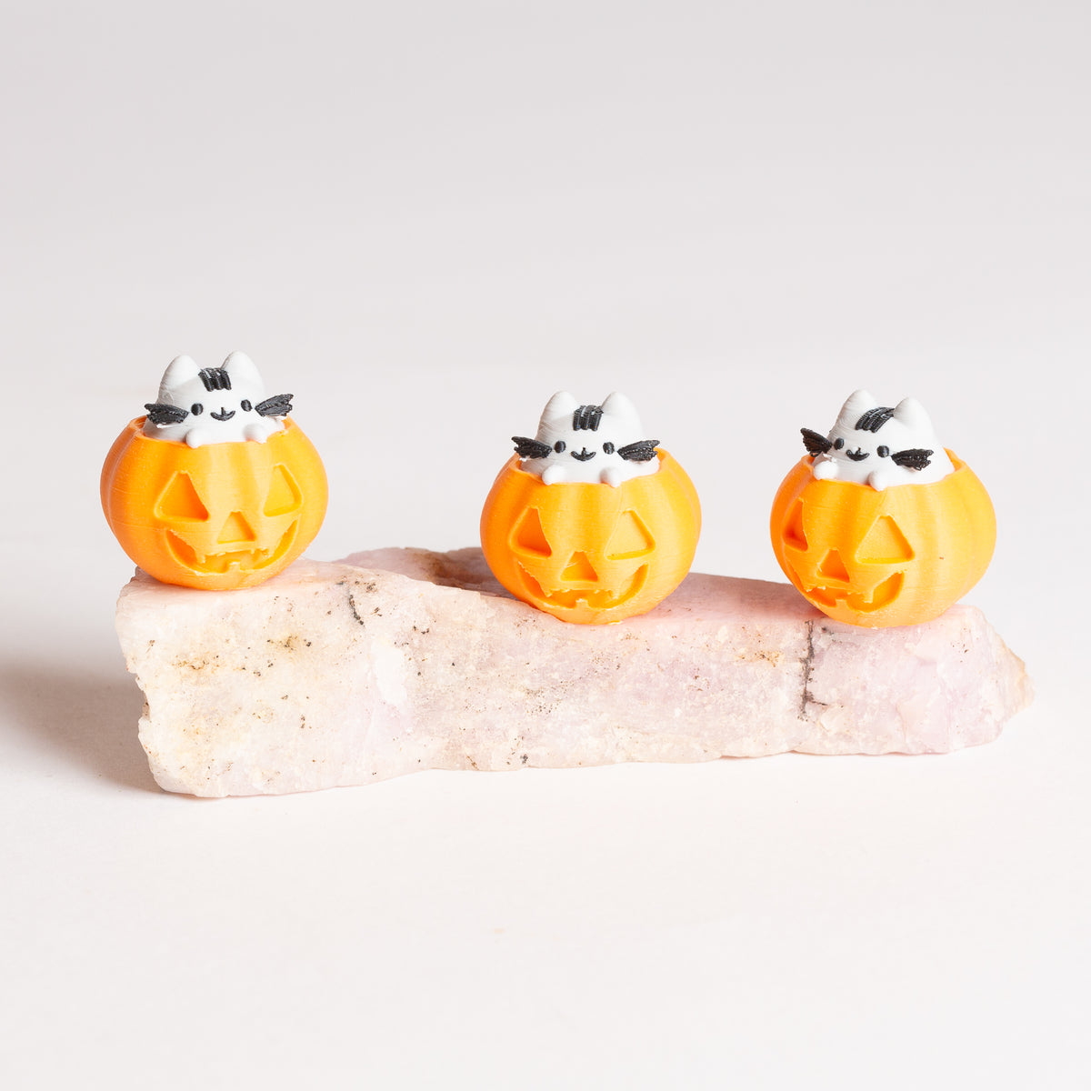 Pip the Kitty Pumpkin