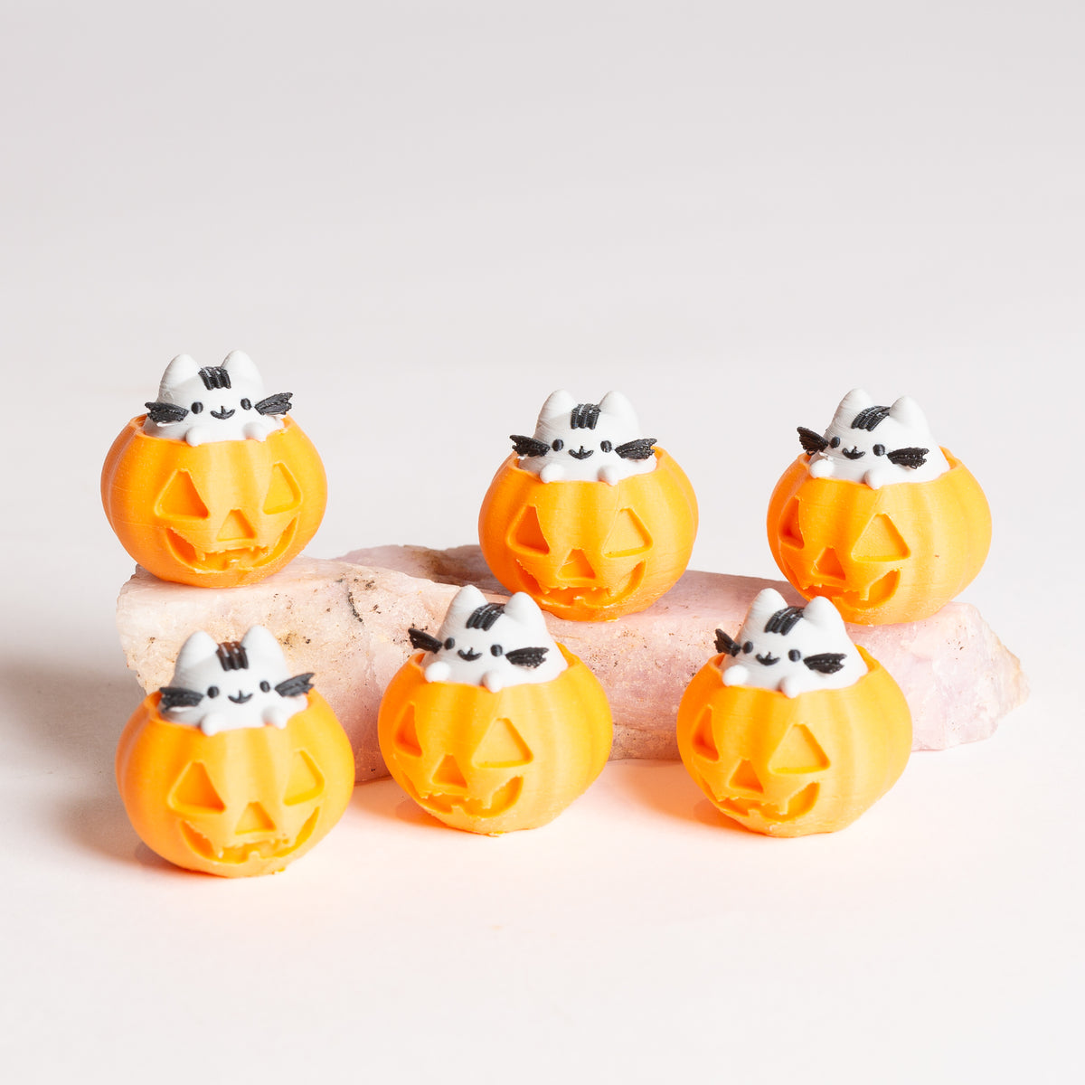 Pip the Kitty Pumpkin