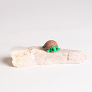 Tabetha the Turtle