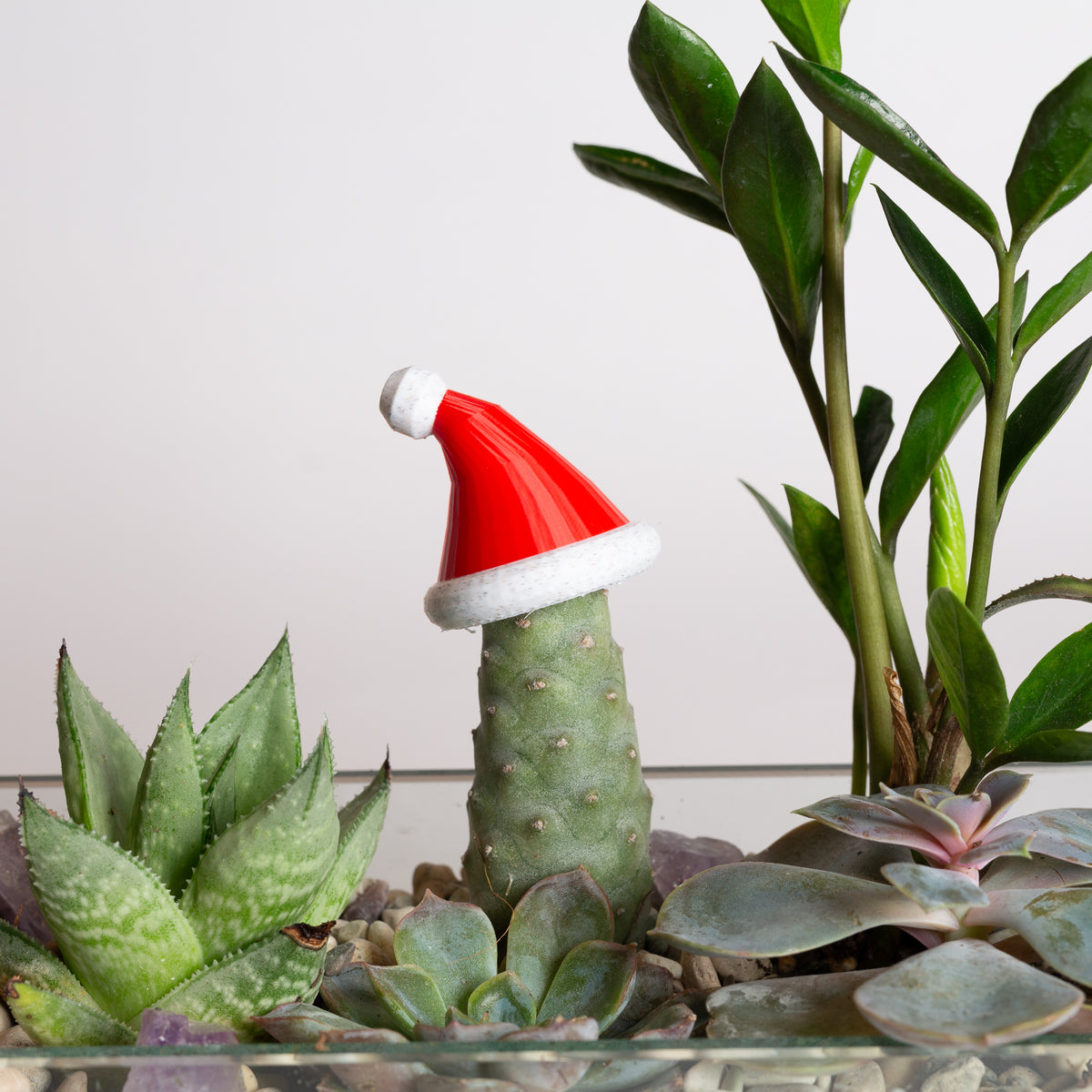Mini Santa Hat