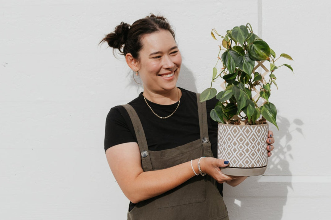 Urban Sprouts