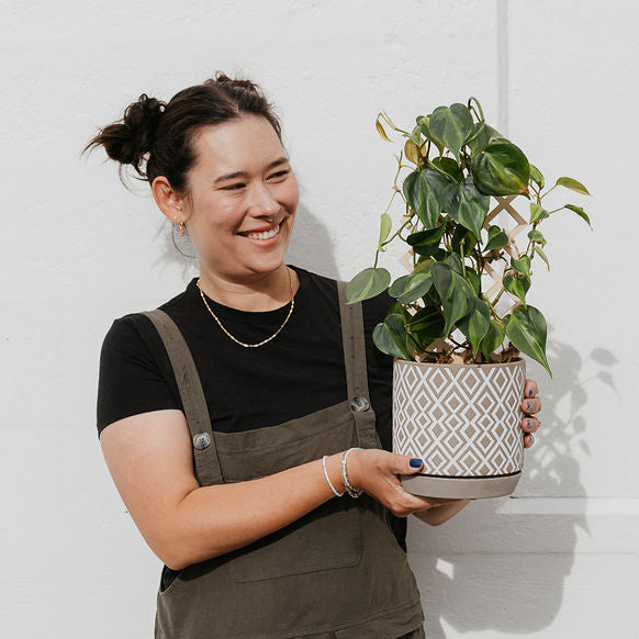 Woman holding a potted vining plant