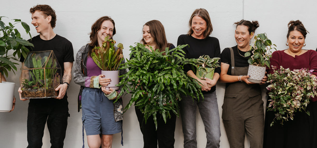 Urban Sprouts