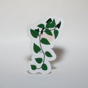 Hanging Pothos Plant Sticker