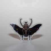 Sparkly Winged Beetle Sticker