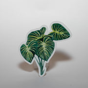 Alocasia Leaves Sticker