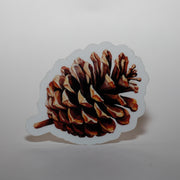 Pinecone Sticker