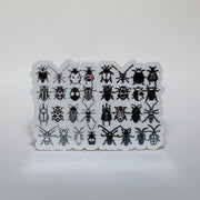 Insect Display Sticker