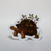 Plant Tortoise Sticker