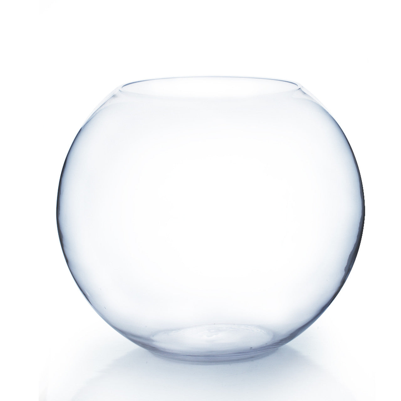 19" Huge Bubble Terrarium - Urban Sprouts