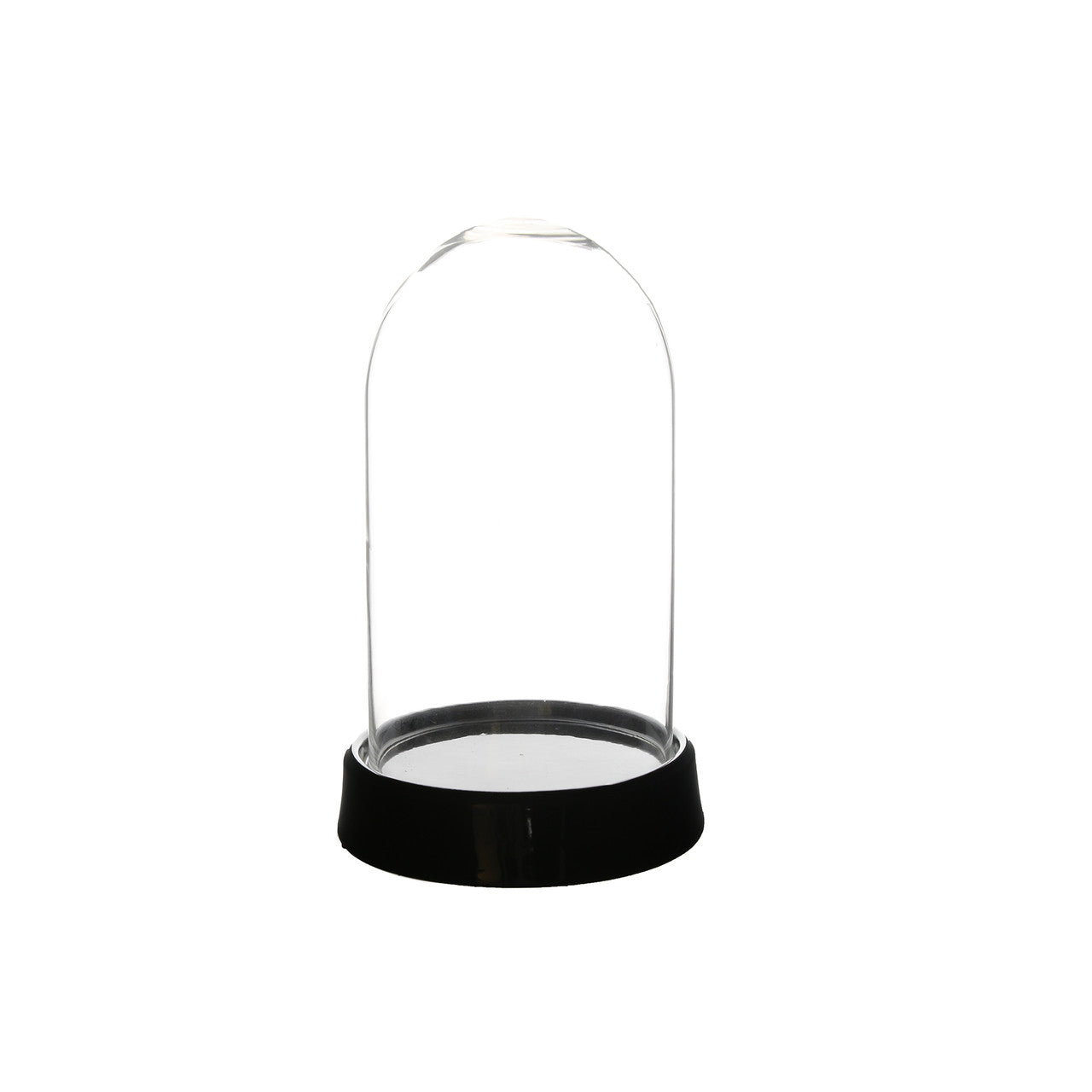 11" Cloche Terrarium with Black Ceramic Base