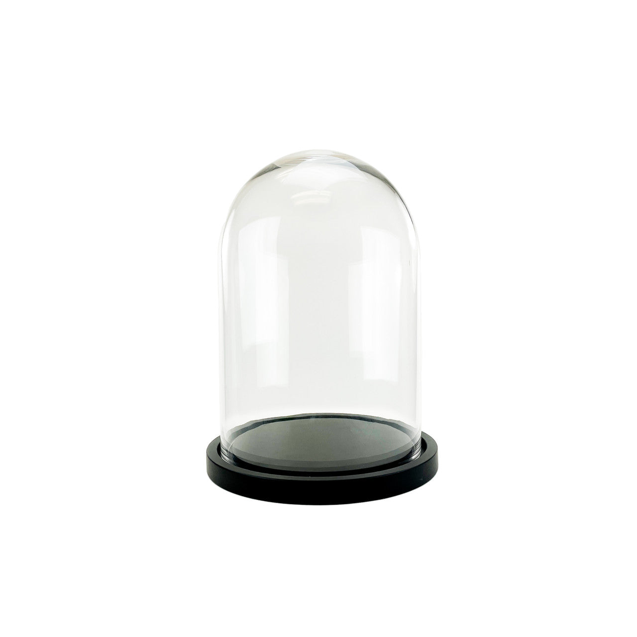 16" Cloche Terrarium with Black Wood Base - Urban Sprouts