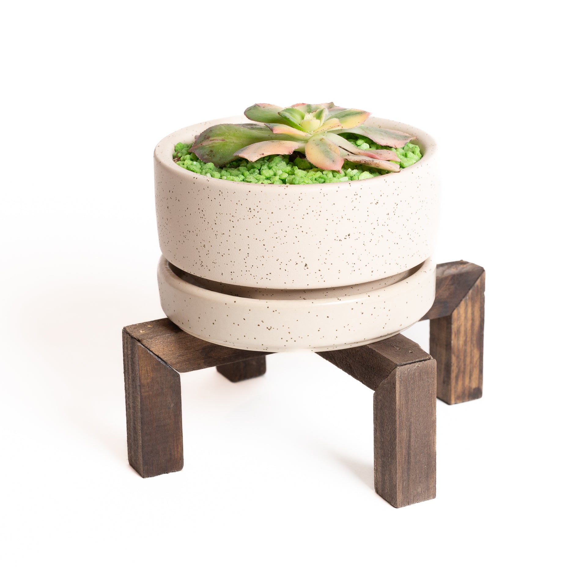 Walnut Cross Pedestal Plant Stand - Urban Sprouts