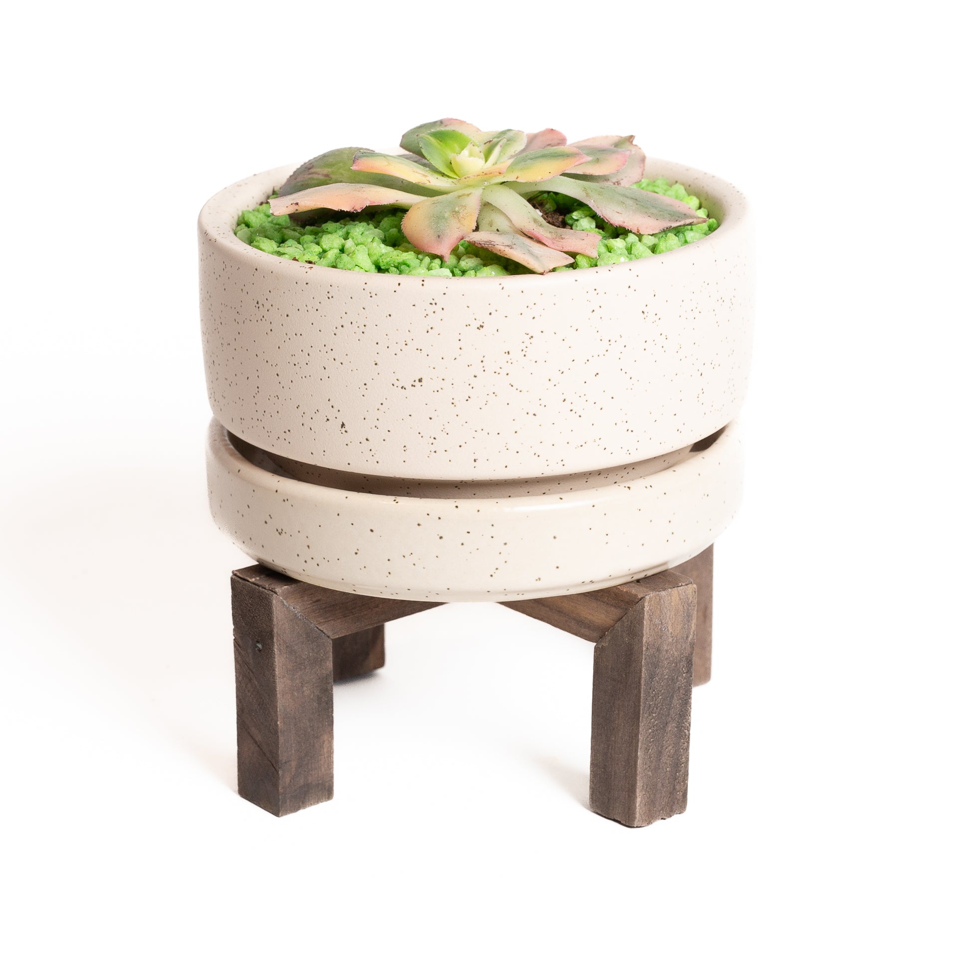 Walnut Cross Pedestal Plant Stand - Urban Sprouts