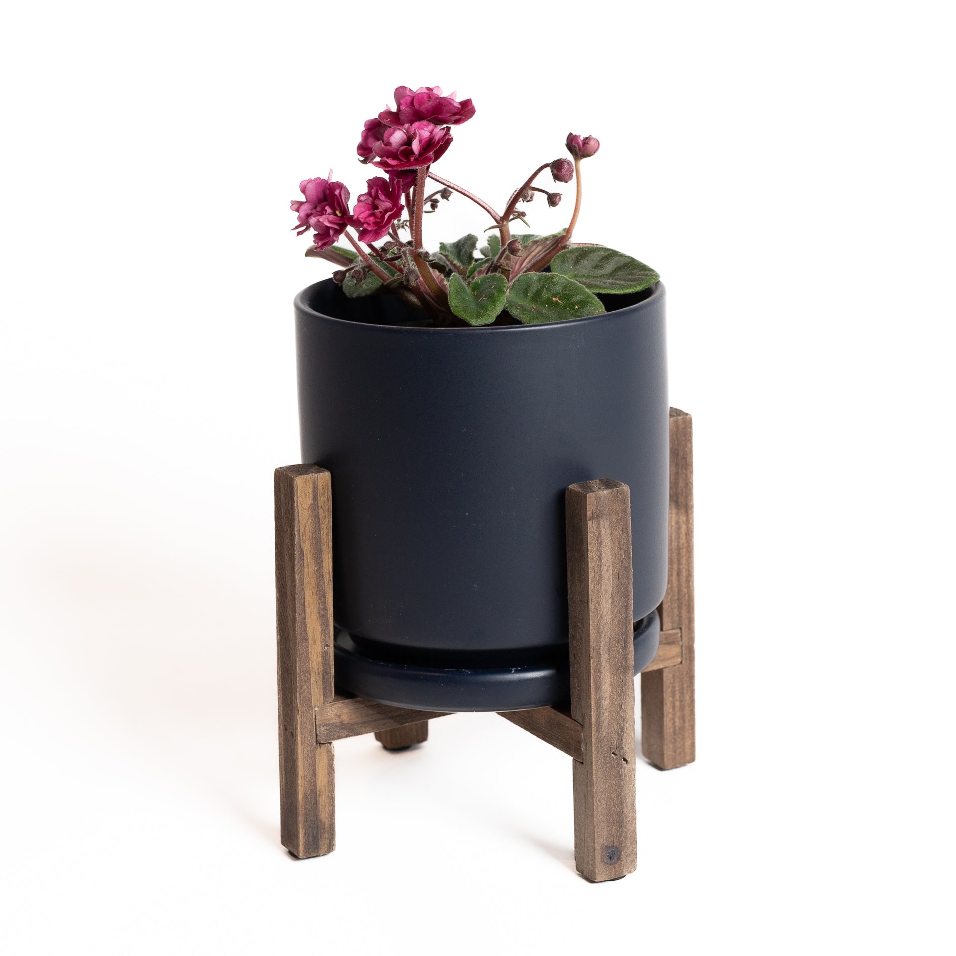 Walnut Essential Plant Stand - Urban Sprouts