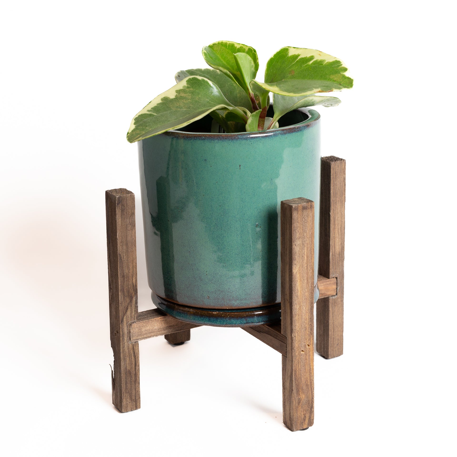 Walnut Essential Plant Stand - Urban Sprouts