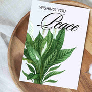 Wishing You Peace Lily - Blank Greeting Card - Urban Sprouts