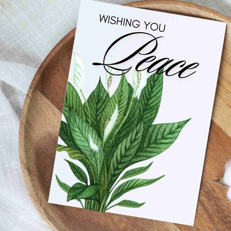 Wishing You Peace Lily - Blank Greeting Card