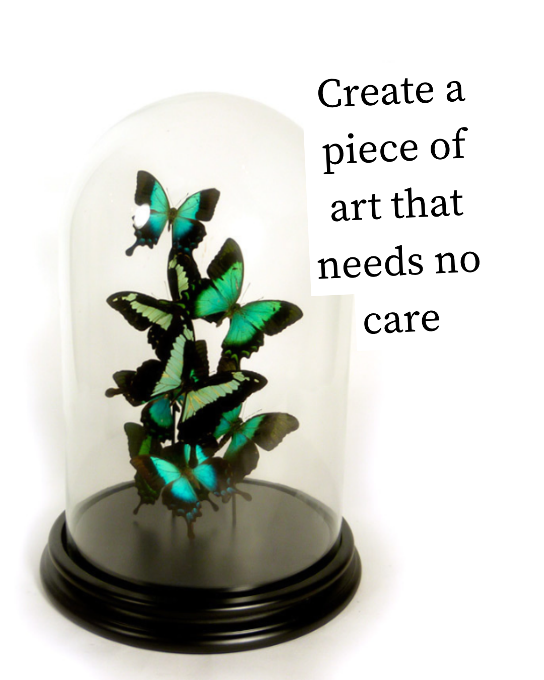 11/1 @ 2:00 Preserved Butterfly Cloches Workshop