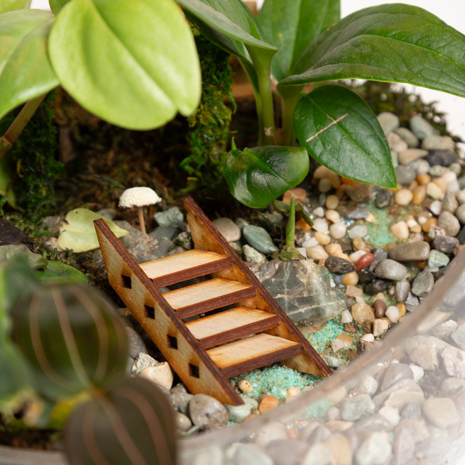 Terrarium Village Stairs - Urban Sprouts