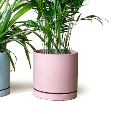 3.5" Pink Dojo Planter Set - Urban Sprouts
