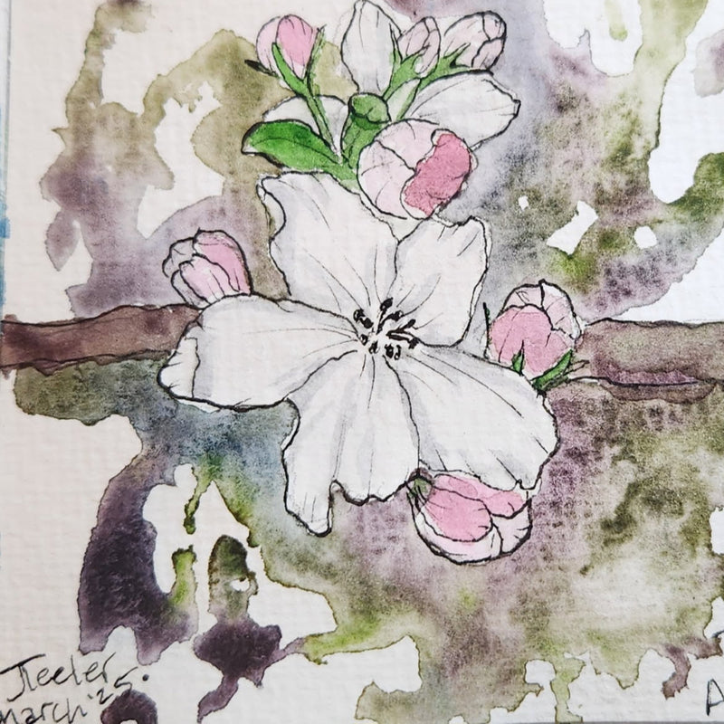 7/25 @ 6:00 Botanical Watercolor Workshop with Jennifer Teeler
