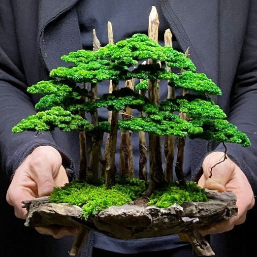 Beginner Bonsai Workshop TEMPLATE - Urban Sprouts