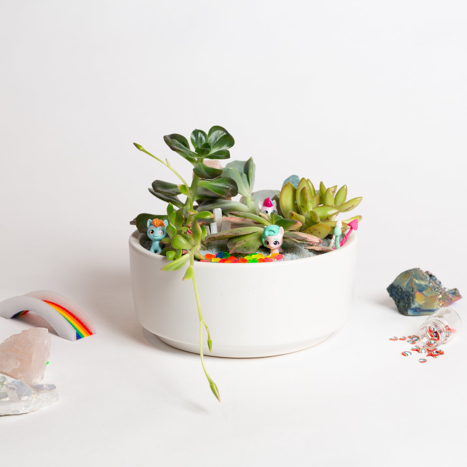 6/1 @ 2:00 Pride Gardens (Rainbow Succulent Bowls)