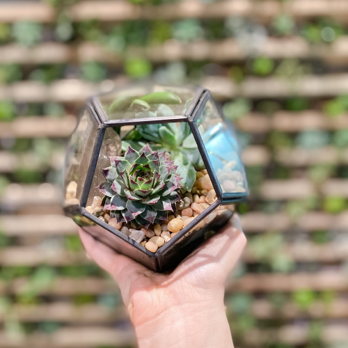 12/8 @ 1:00 Terrarium Ornaments Workshop