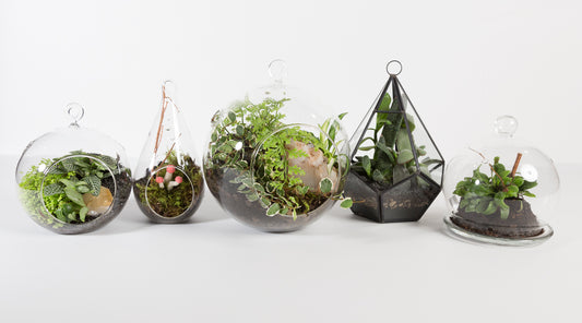 4/20 @ 2:00 Terrarium Miniatures Workshop