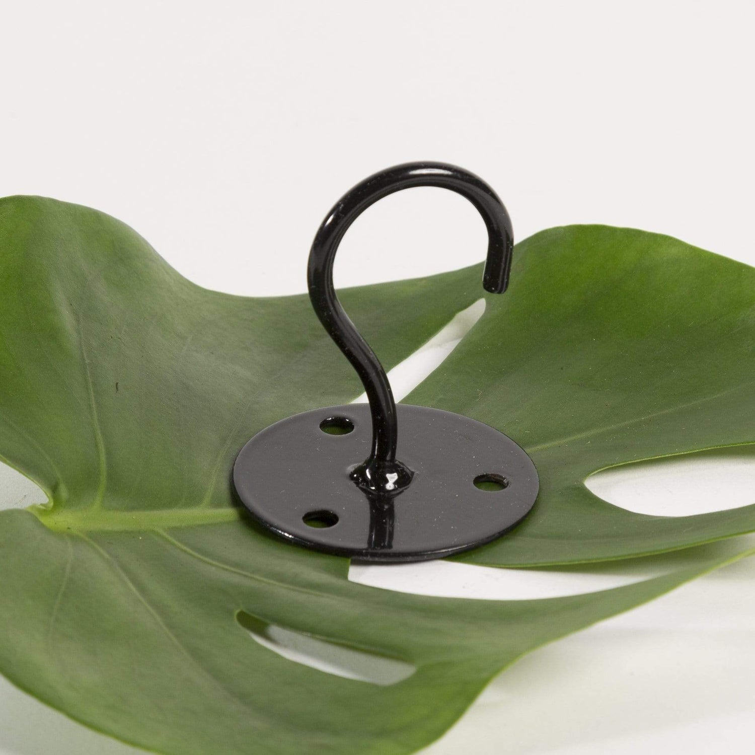 Hanging Plant Ceiling Hook - Black – Urban Sprouts