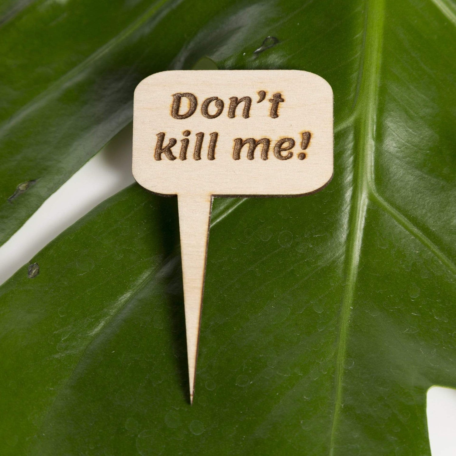 Mini Wood Sign - Don't Kill Me! - Urban Sprouts