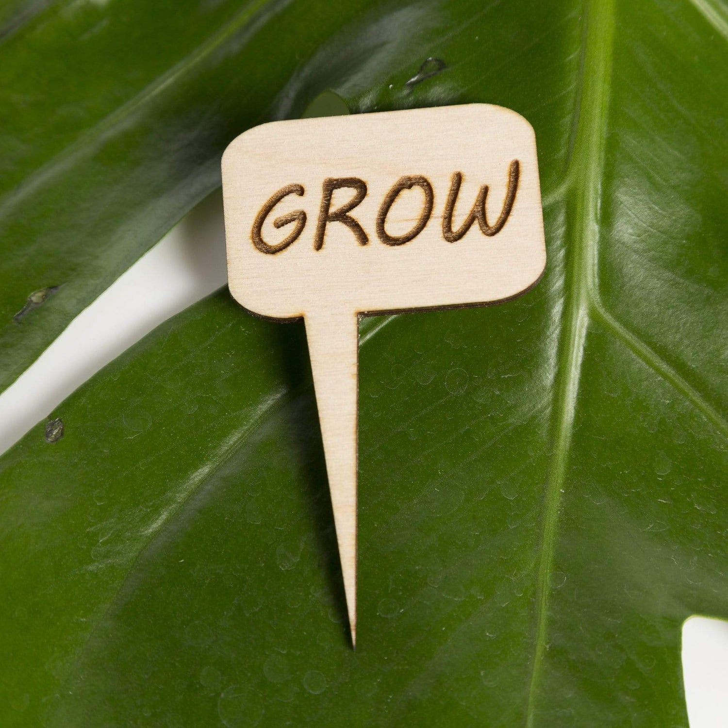 Mini Wood Sign - Grow - Urban Sprouts