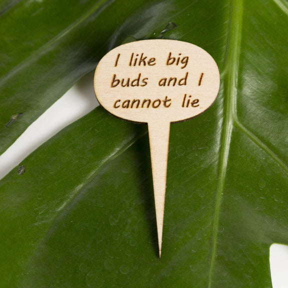 Mini Wood Sign - I Like Big Buds - Urban Sprouts