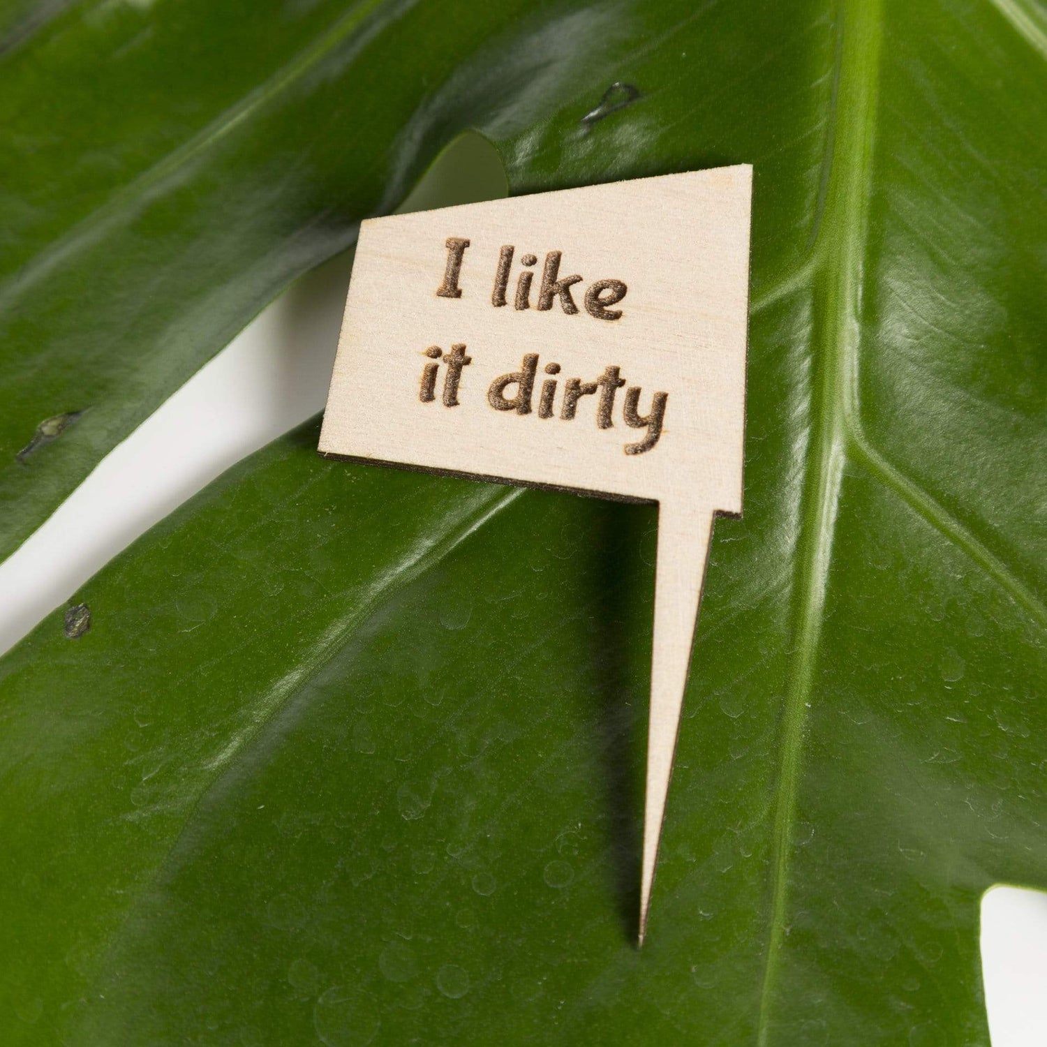 Mini Wood Sign - I Like It Dirty - Urban Sprouts