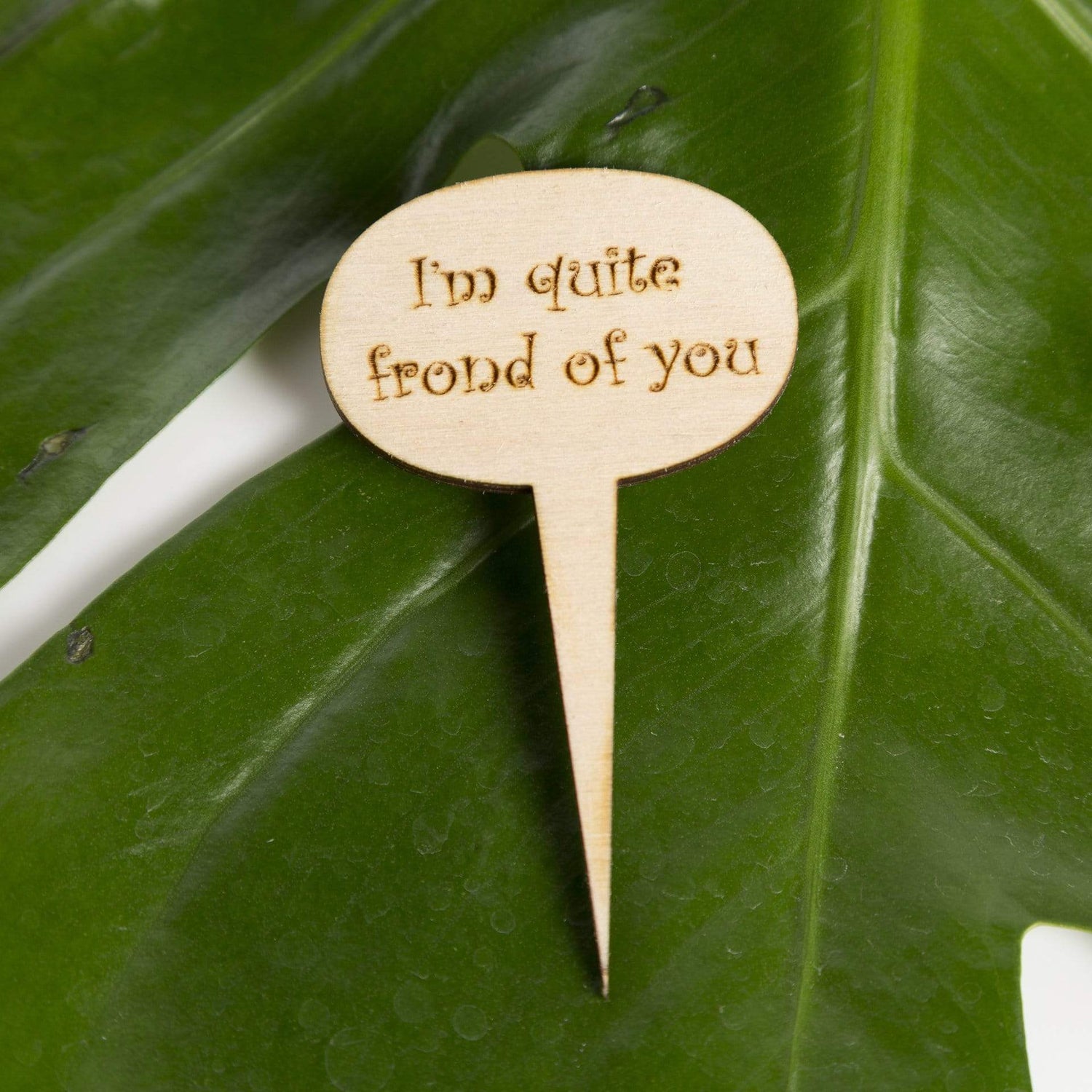 Mini Wood Sign - I'm Quite Frond of You - Urban Sprouts