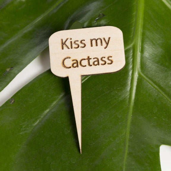 Mini Wood Sign - Kiss My Cactass - Urban Sprouts