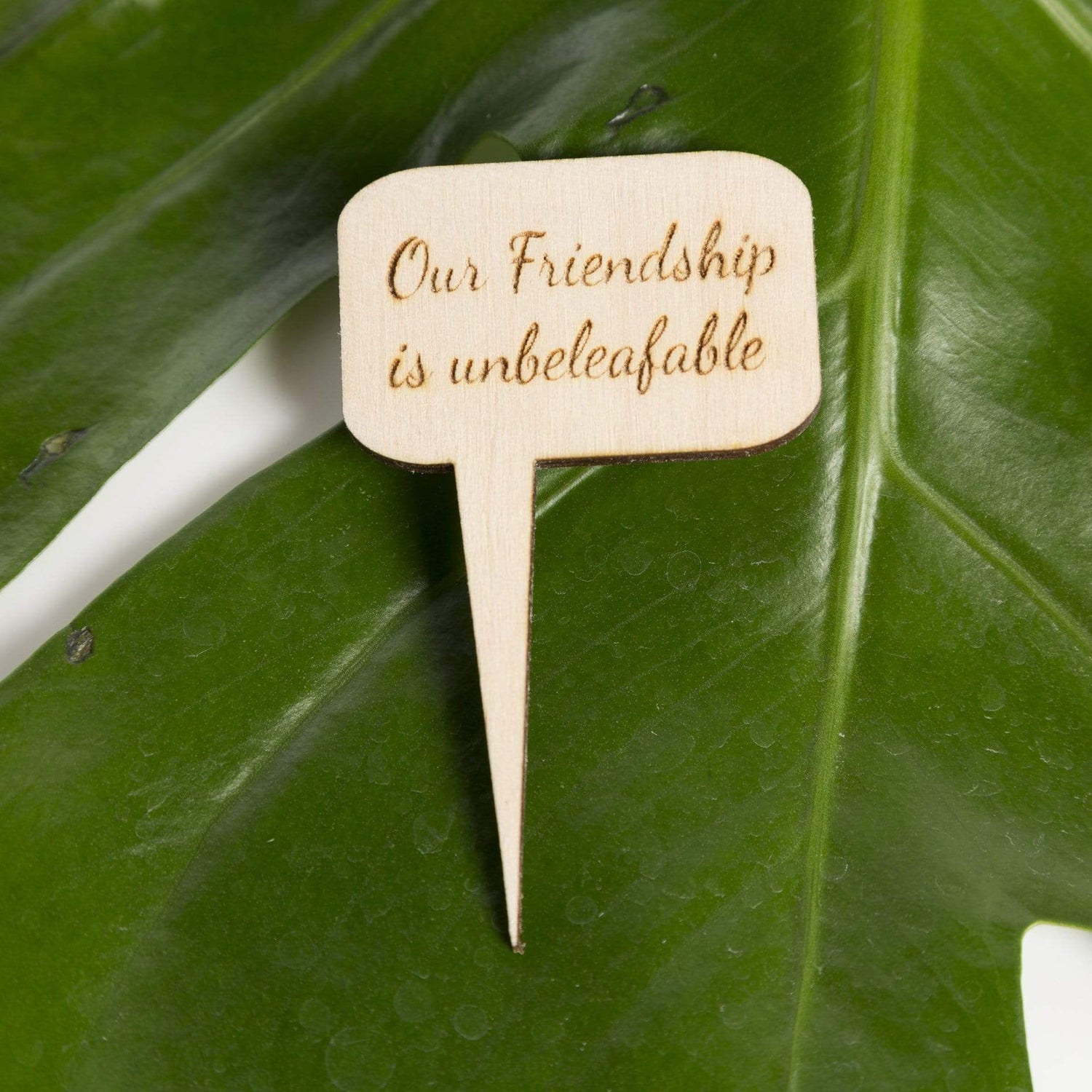 Mini Wood Sign - Our Friendship - Urban Sprouts
