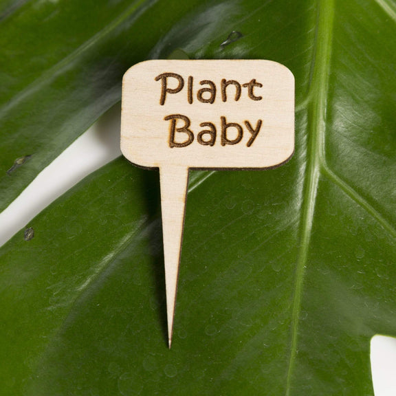 Mini Wood Sign - Plant Baby - Urban Sprouts