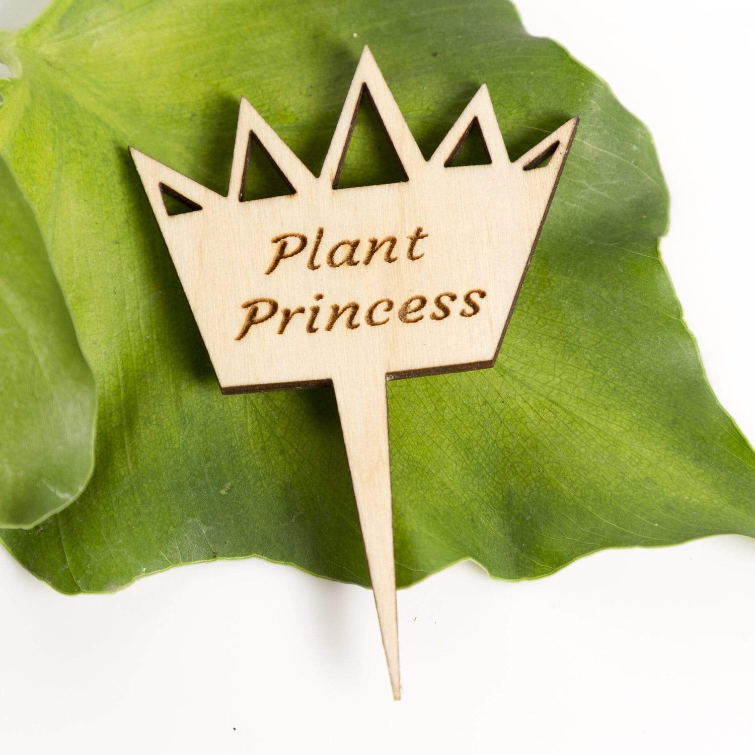 Mini Wood Sign - Plant Prince/Princess - Urban Sprouts