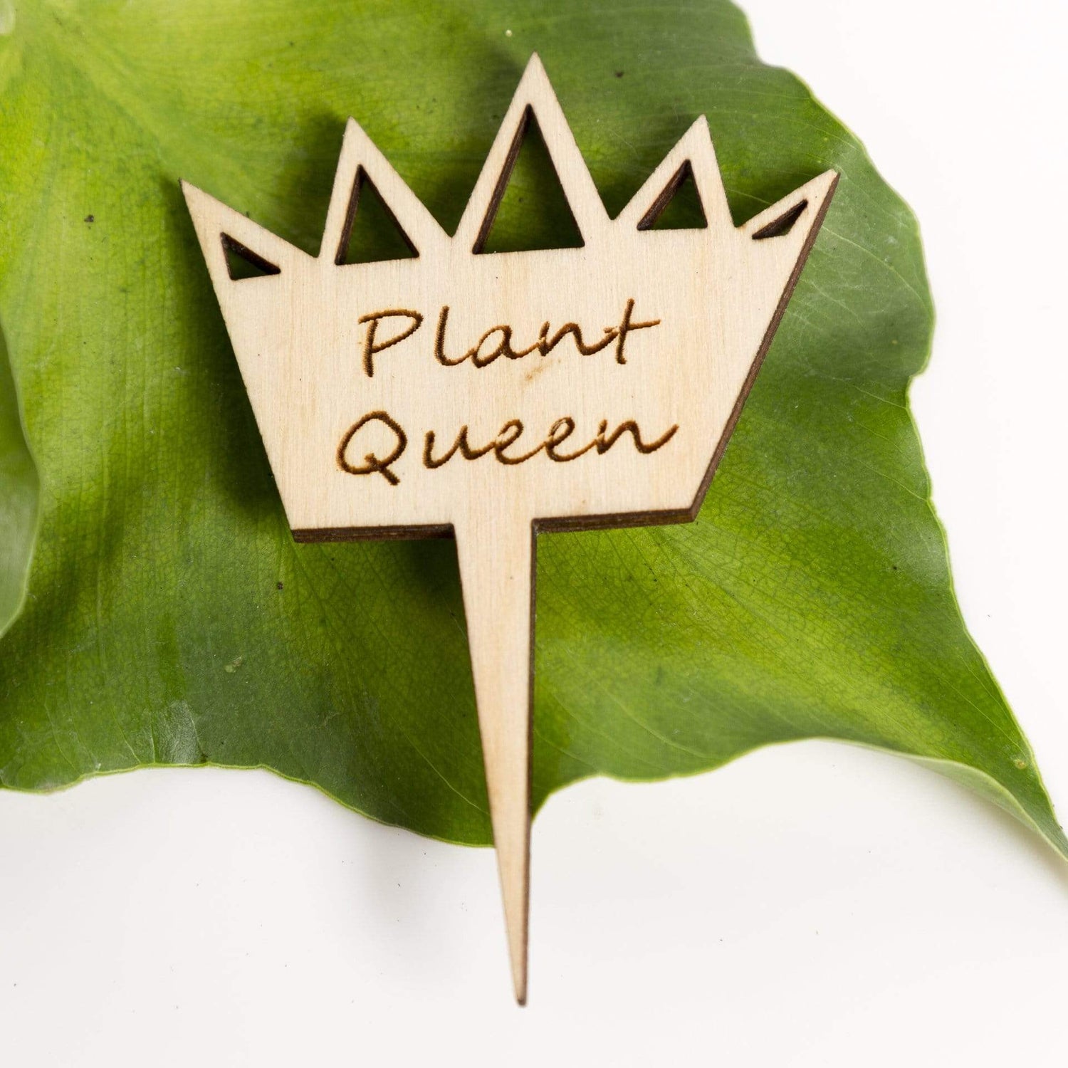Mini Wood Sign - Plant Queen/King - Urban Sprouts
