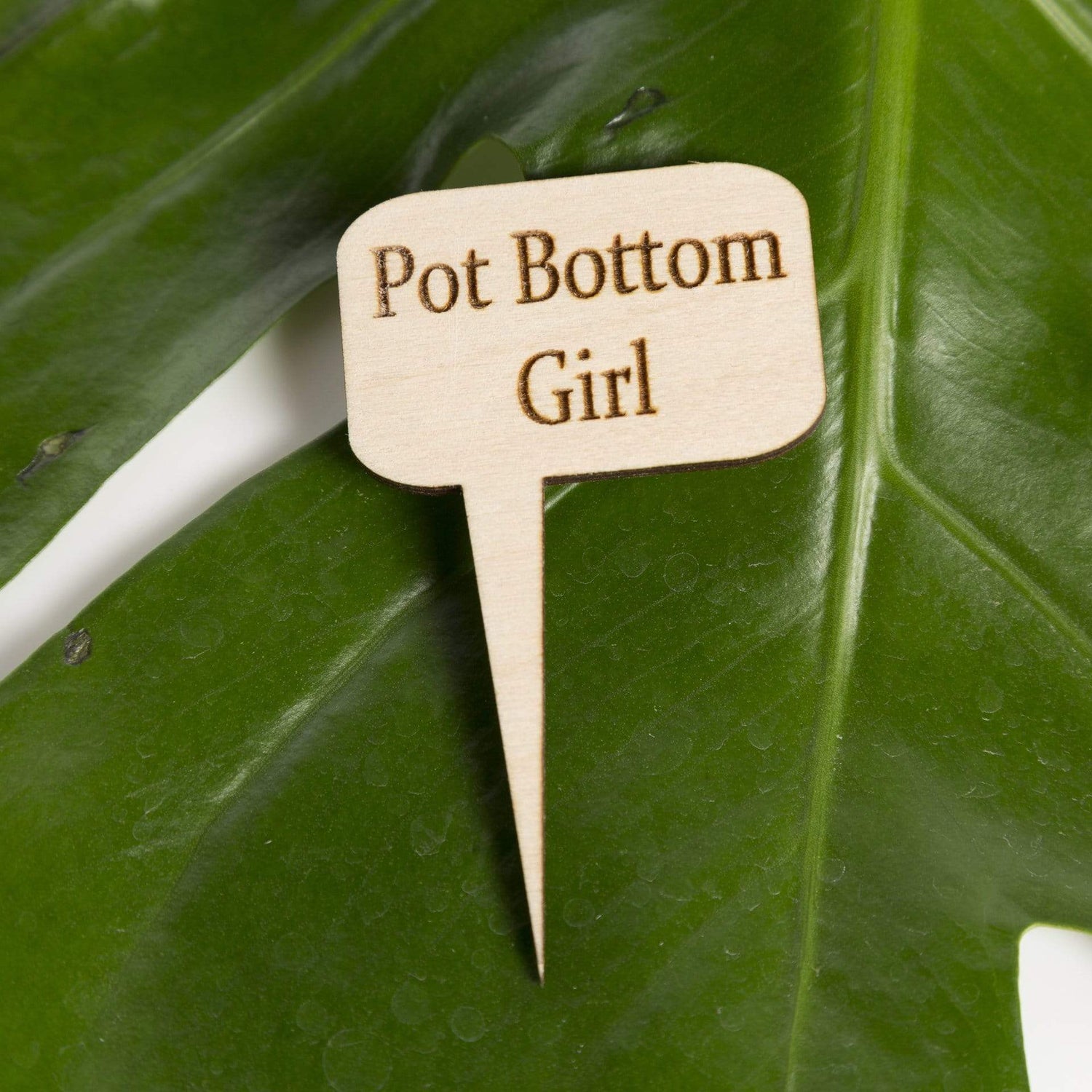 Mini Wood Sign - Pot Bottom Girl - Urban Sprouts